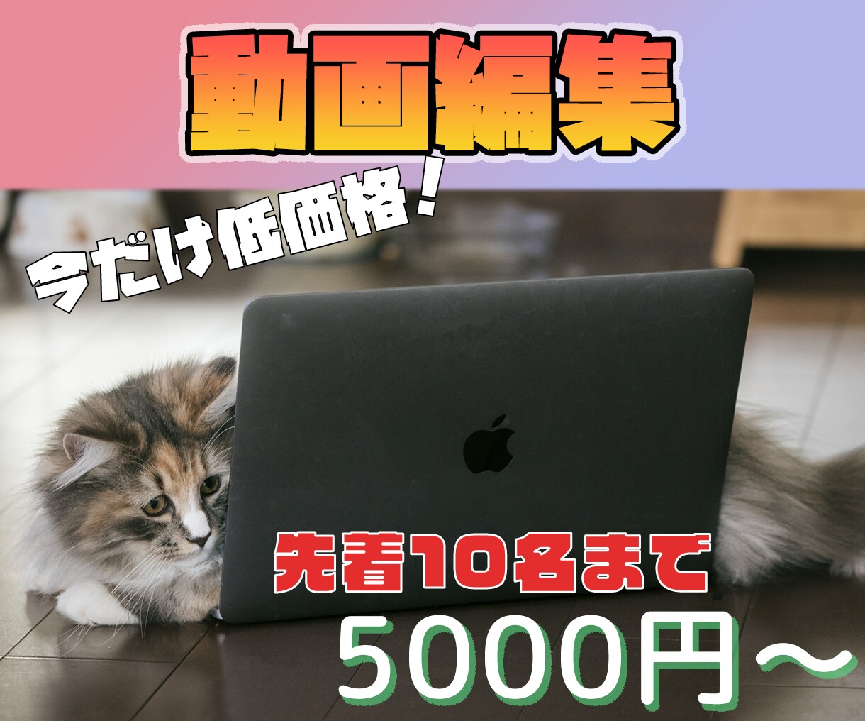 YouTubeなどの編集を代行いたします 丸投げOK！理想の動画をお届けします！ イメージ1