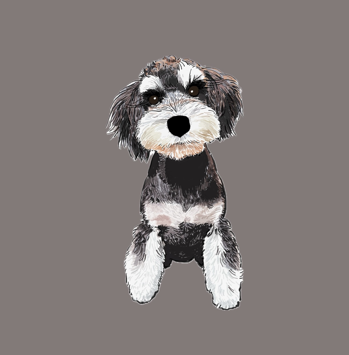ミニチュアシュナウザーの似顔絵を描きます ミニシュナと暮らす犬絵師が、写真から似顔絵を描きます イメージ4