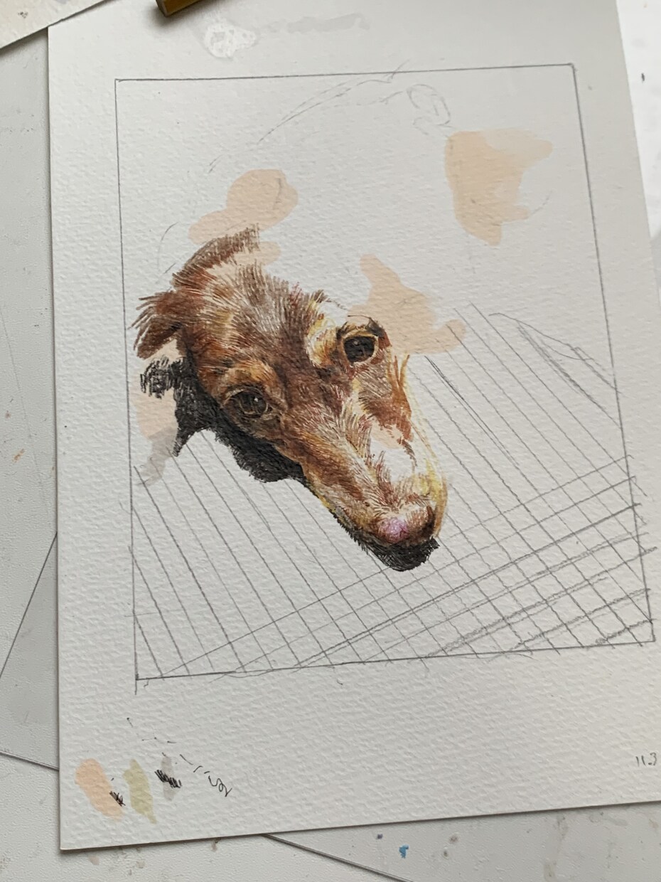 格安！リアルな愛犬、愛猫イラストを描きます プレゼントやメモリアルイラスト、お部屋に飾るのにオススメ☆ イメージ2