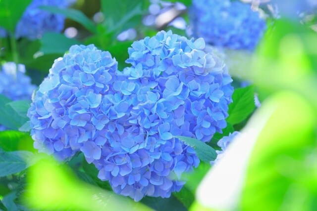 話し相手が必要なかたへ。話を聞きます。励まします 話し相手になります(^^)あなたの気持ちが癒されますように。 イメージ2