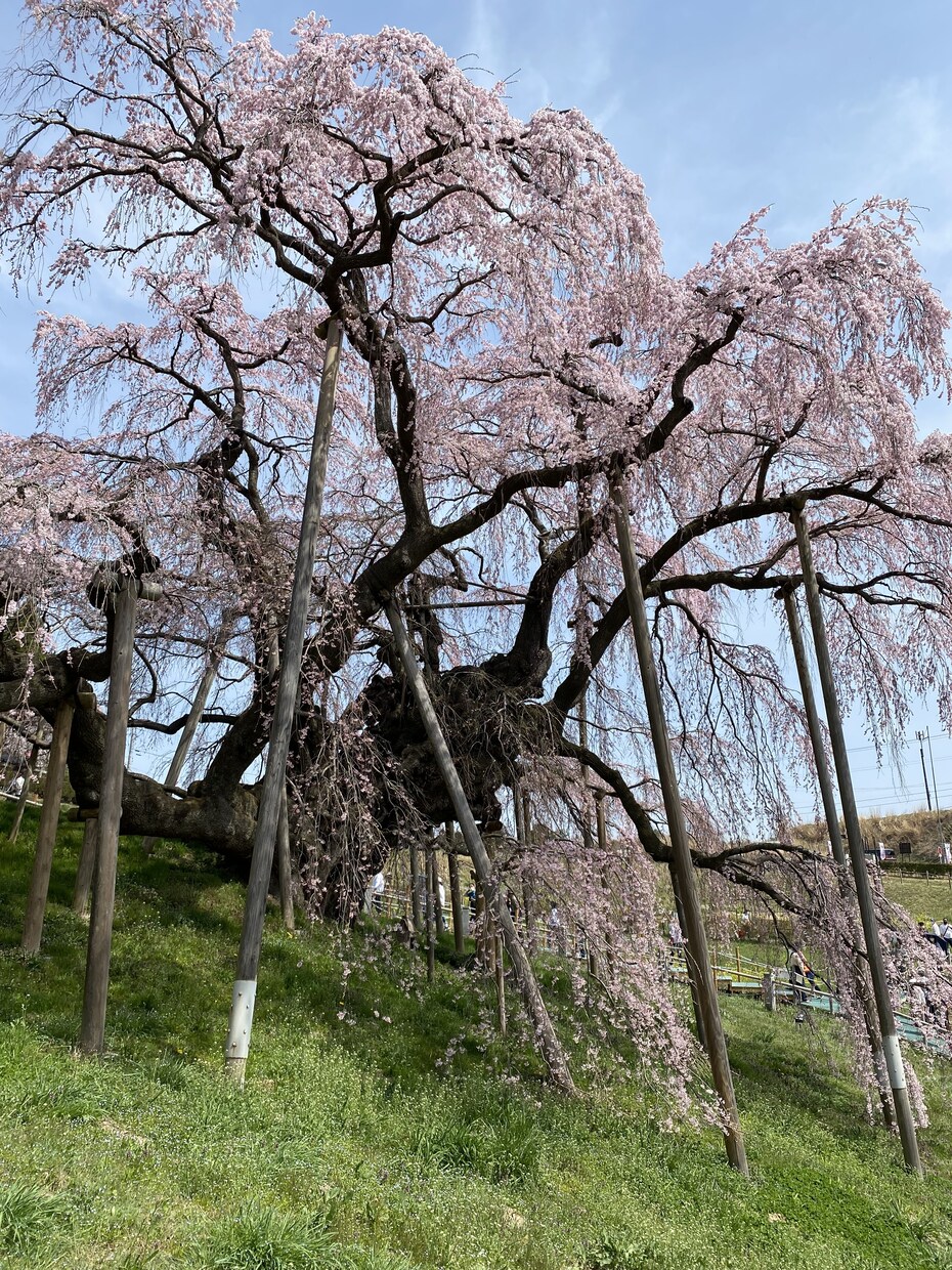 帰国サラリーマン!経験豊富☆どんな内容聞きます あなたの「思い・考え」に共感します…☆ イメージ1