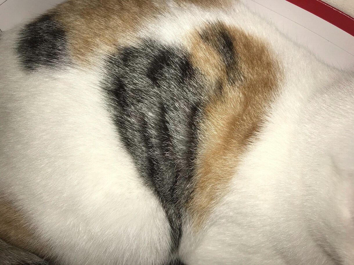 ねぎらいの大切さを分かりやすく教えます 自分を優しくねぎらう♡事で自分らしく幸せに生きれますよ♪ イメージ1