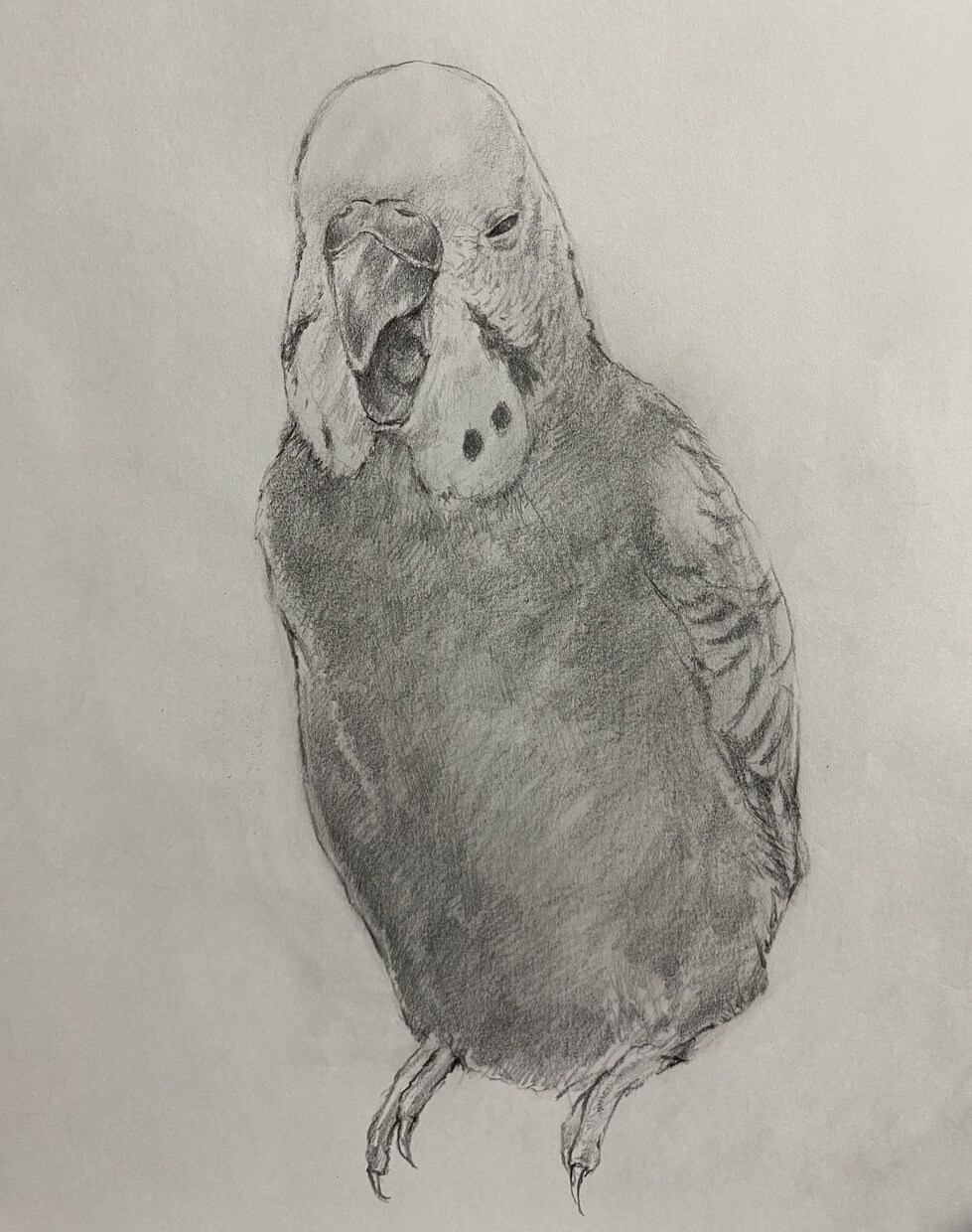 鉛筆画を描きます あなたの日常を絵にして記録してみませんか イメージ3