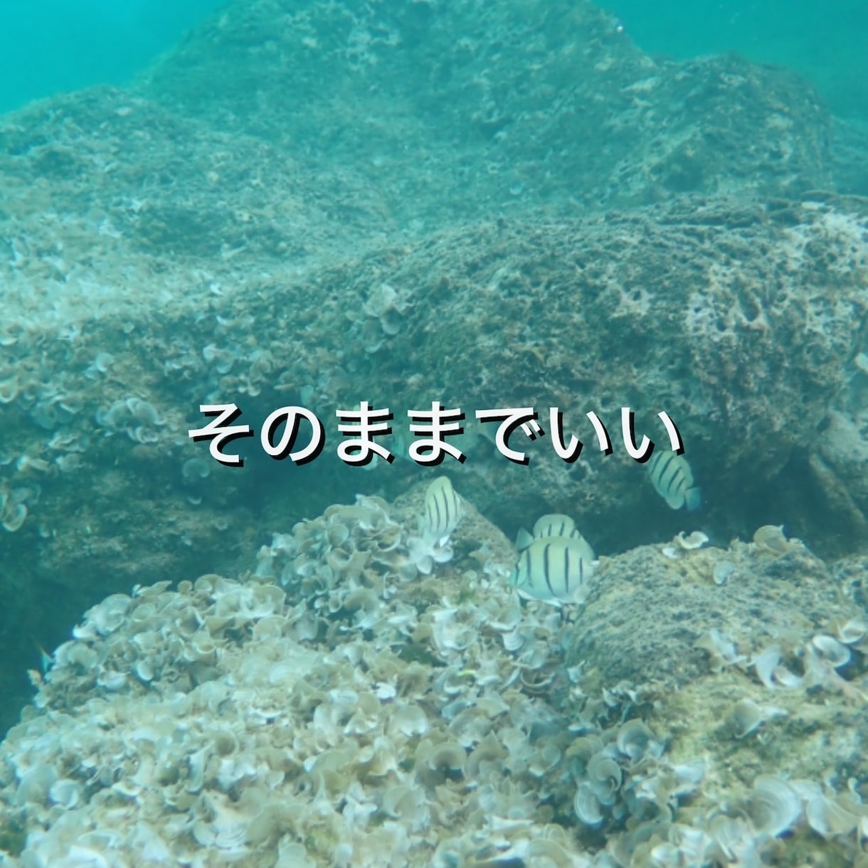 あなたのお話を、じっくり丁寧にお聞きします 愚痴、心配ごとなど、優しくあなたに寄り添ってお聞きします イメージ3