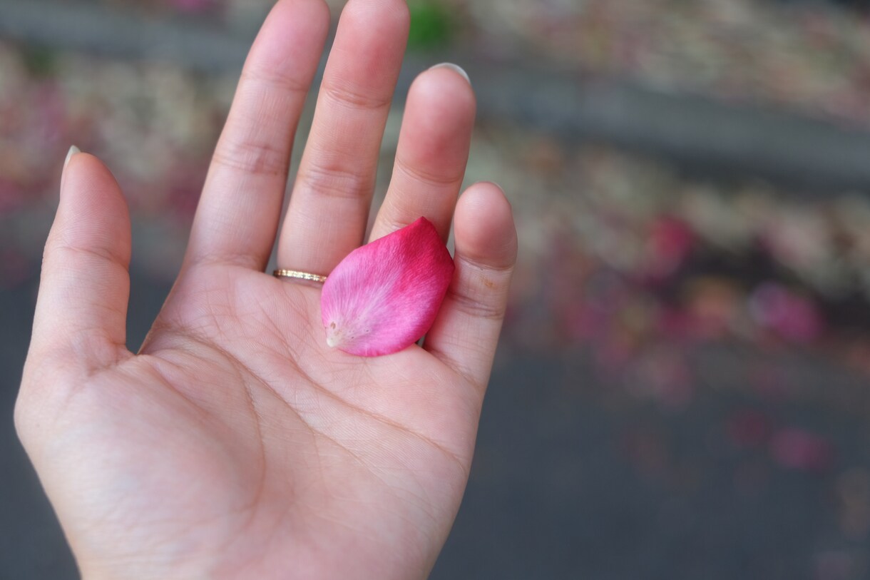 恋愛を軸にカウンセリングをします カウンセリングで本質的に解決したい方に向けて イメージ1