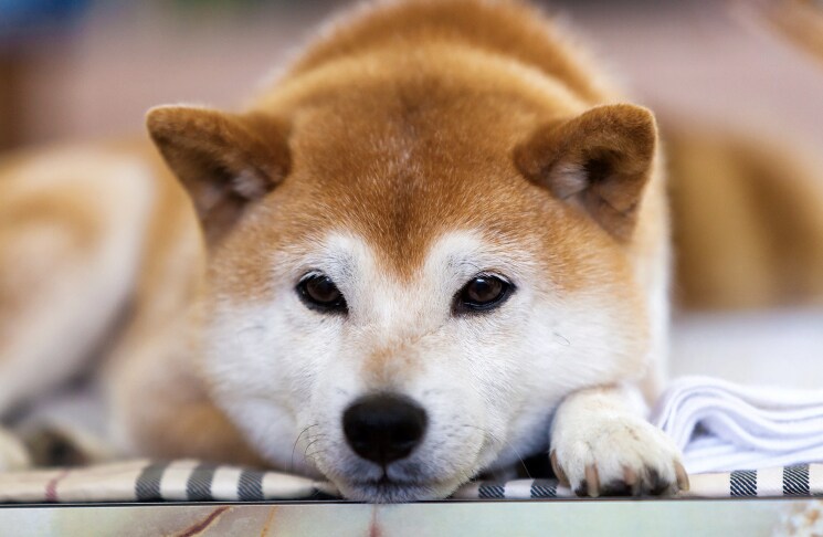 お試し1分でもＯＫ!!秘密厳守☆愚痴聞きます なんでも話してスッキリしませんか？ イメージ7