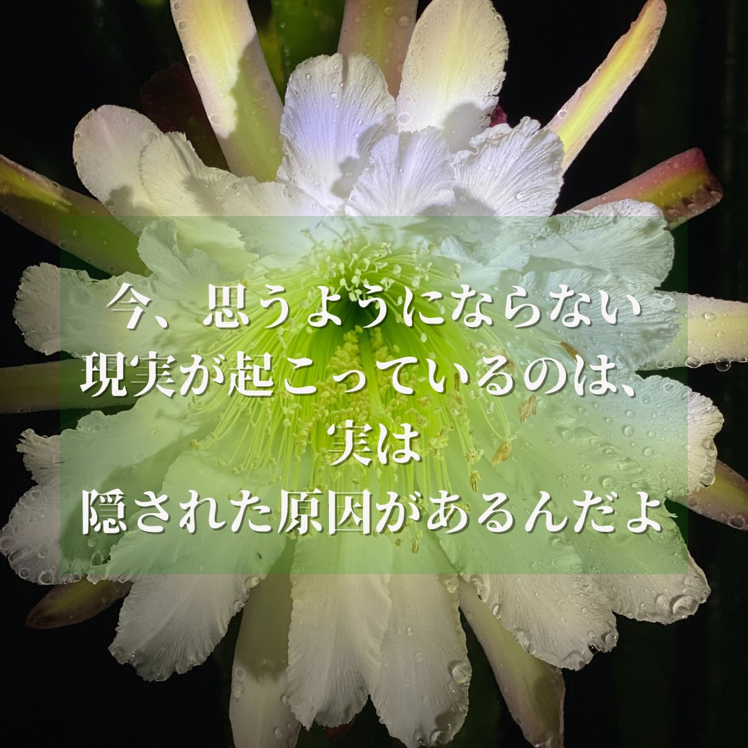 潜在意識に深く入るヨガ＆ヒプノセラピーで解決します 心身バランス整え相乗効果！直感☆集中力＆洞察力UP《４時間》 イメージ3