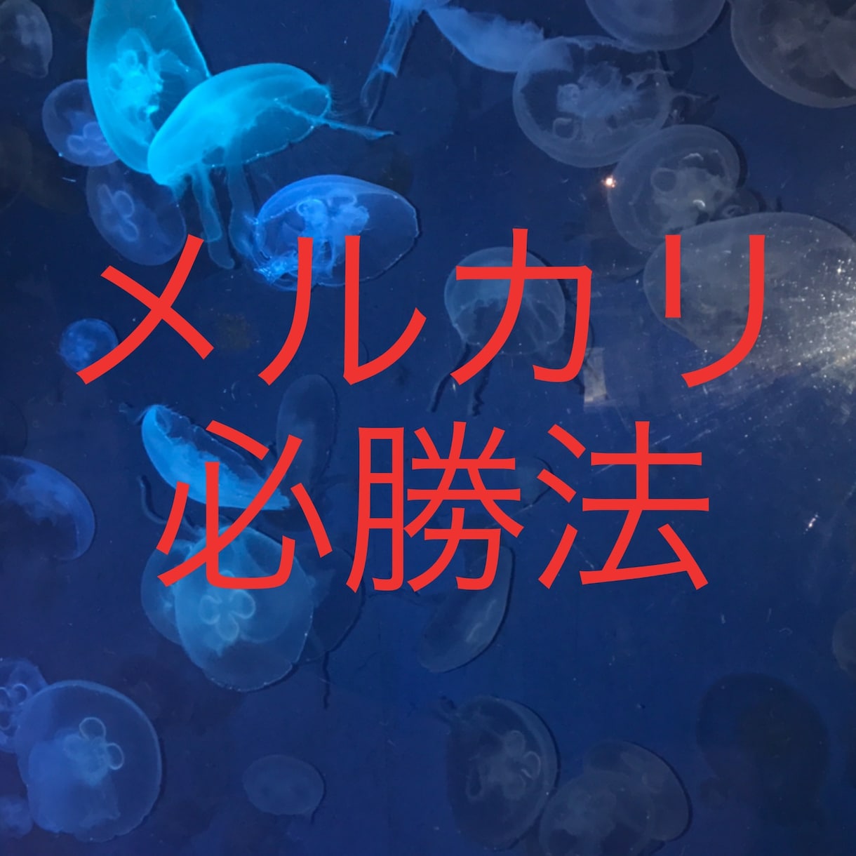 メルカリ攻略法！販売・仕入れ方法教えます メルカリでの戦略的な販売方法を伝授します！ イメージ1