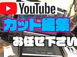 速達！動画音声のカット編集を致します 在宅クリエイターがあなたの動画のブラッシュアップをお手伝い！ イメージ1