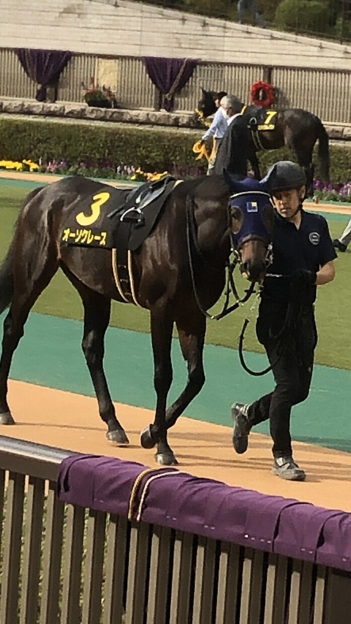 競馬初心者に馬券の買い方教えます 競馬を最近始めたけど当たらない！っていう方でもOKです！ イメージ3