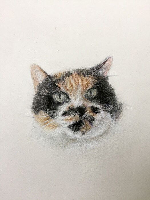 大事なペットの肖像画を描きます ただ細かく描き写すのでなく、雰囲気のある作品に仕上げます！ イメージ2