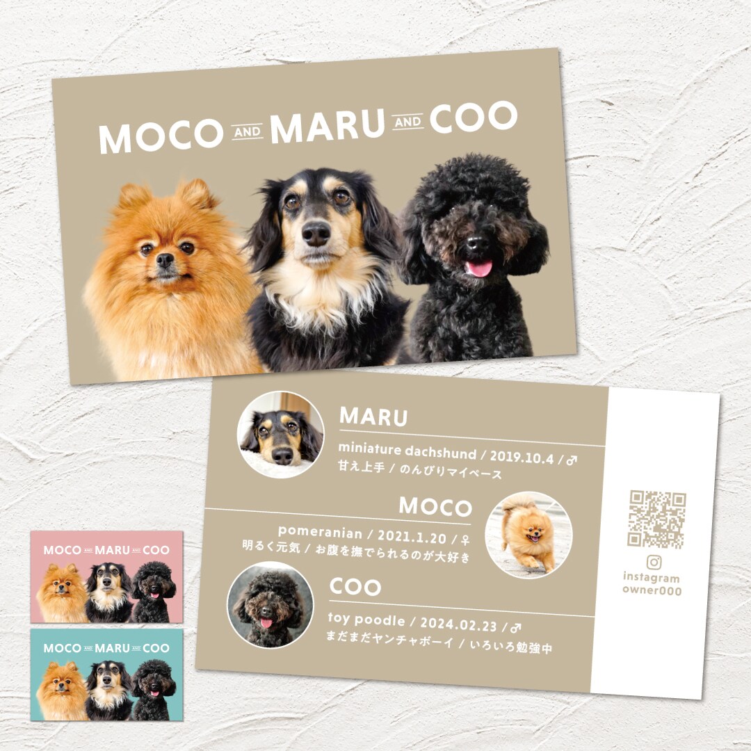 ３頭限定×シンプルが可愛いペット名刺制作します 印刷代込み100枚！オフ会・イベントで大活躍♩ イメージ1
