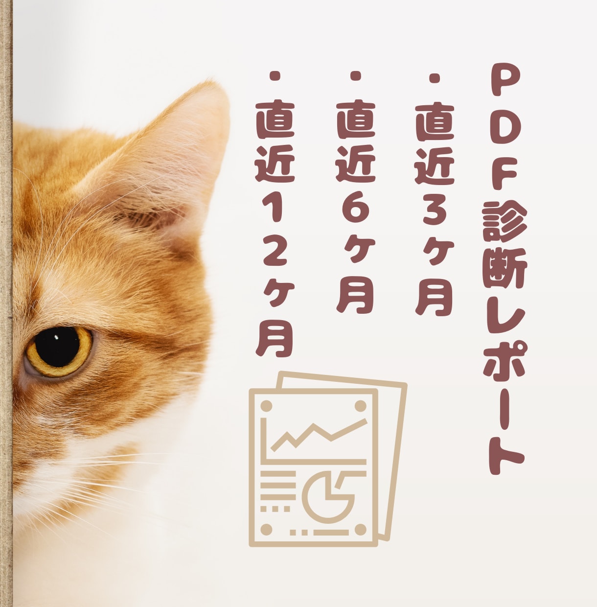 小規模宿向け｜OTA広告の分析レポートを作成します 広告費と予約実績を整理し、経営判断に役立つレポートを作成★ イメージ6