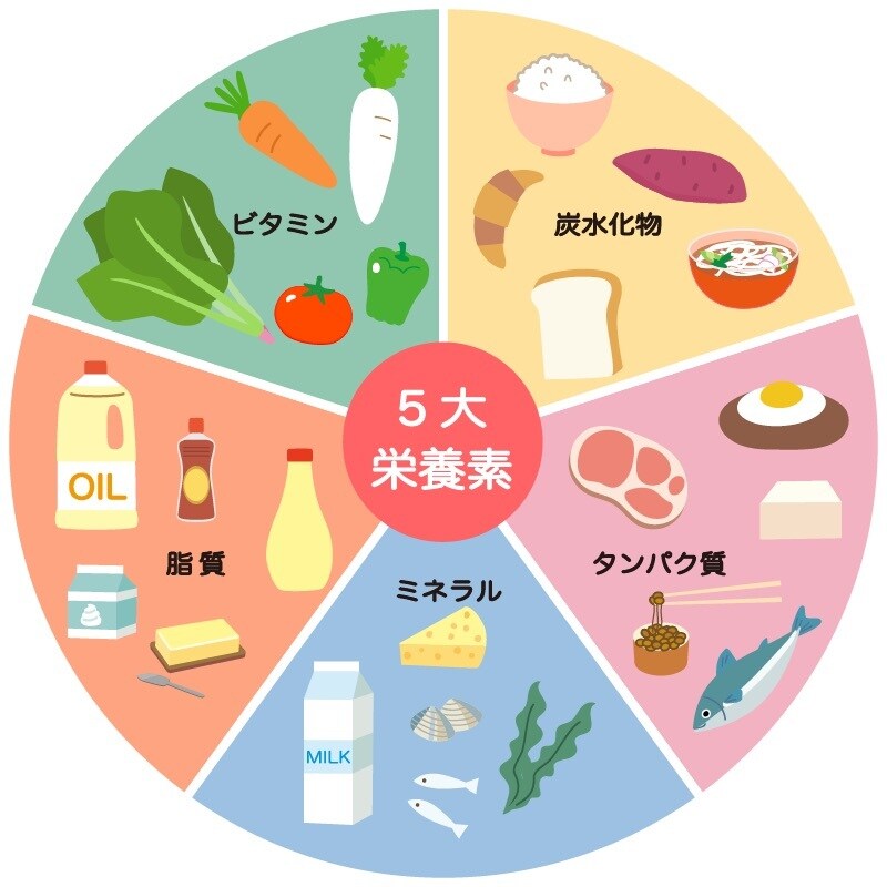 あなた専用のダイエットを考えサポートします 大きなリバウンドをしない為のダイエットのご提案を行います イメージ3