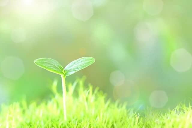 貴方の心を解放し、夢や希望を与えます 心の病 辛い 先が見えない 鬱病 薬から離れたい 苦しみ イメージ2