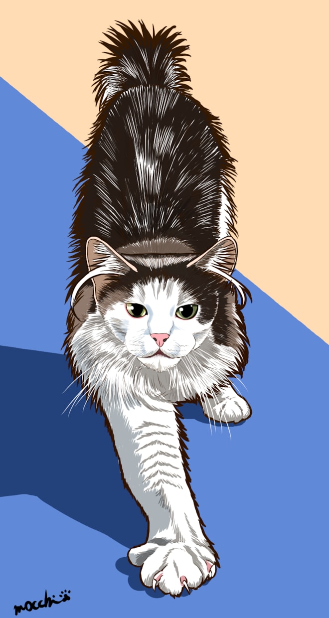 猫ちゃんの似顔絵、デフォルメなど作成します 似顔絵、かわいいイラスト、キャライラスト、人物など描きます イメージ4
