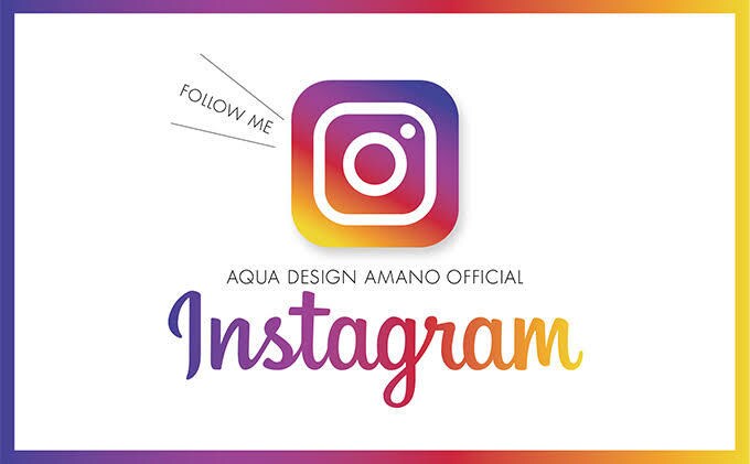 インスタのフォロワー250人増えるまで宣伝します 私のインスタフォロワー5万人に拡散します！ イメージ1