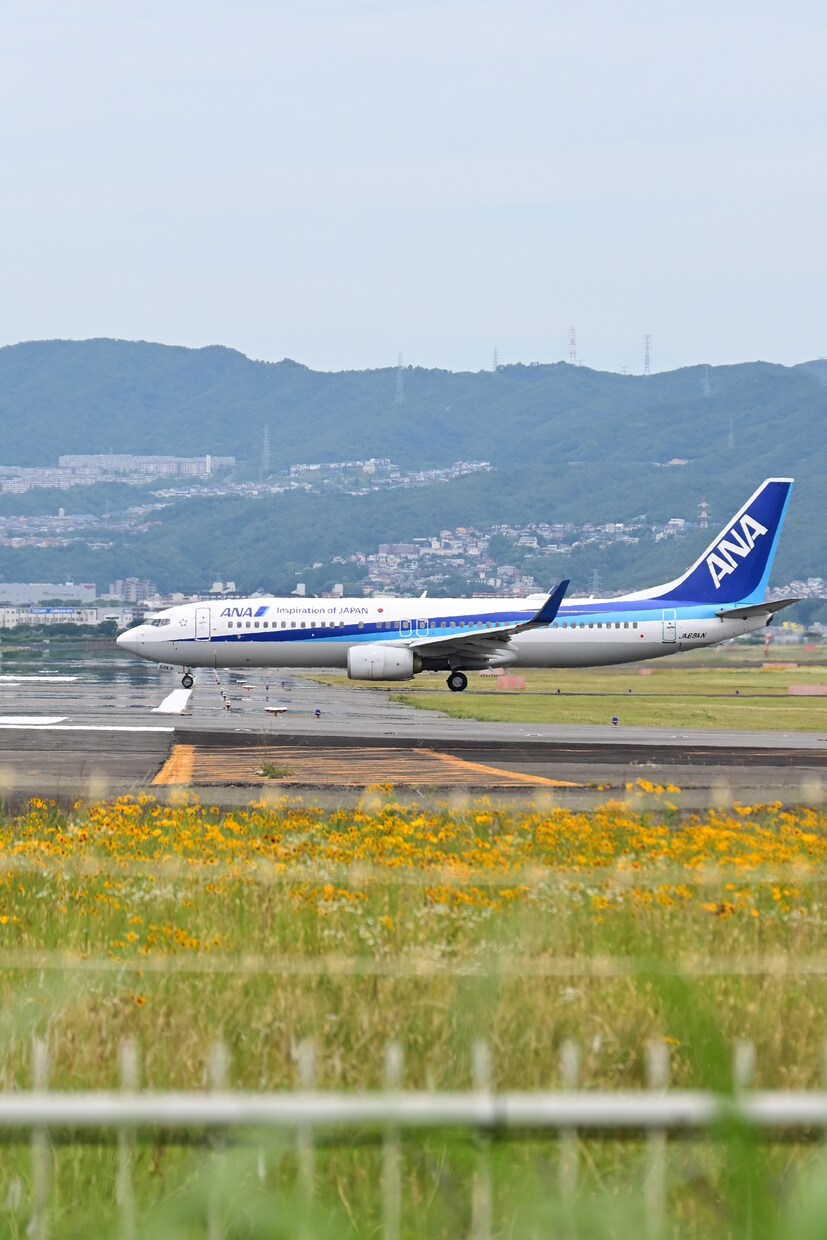飛行機の写真をお探しの方にご提供します 飛行機が好きな方に写真をご提供さしてもらいます イメージ7