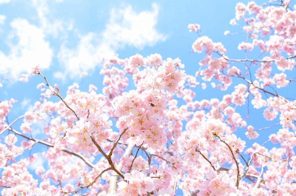 恋愛に関するお悩みを視ます ✿運命の導きを霊視させていただきます✿ イメージ1