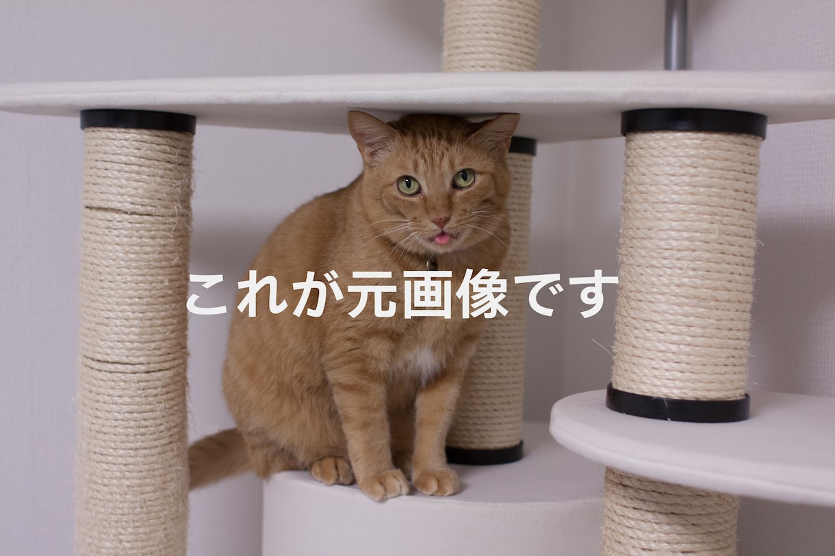 記念日やギフトに！名画や季節の背景で加工します 真珠の耳飾りの少女風など、世界に一枚のアートへ仕上げます イメージ4
