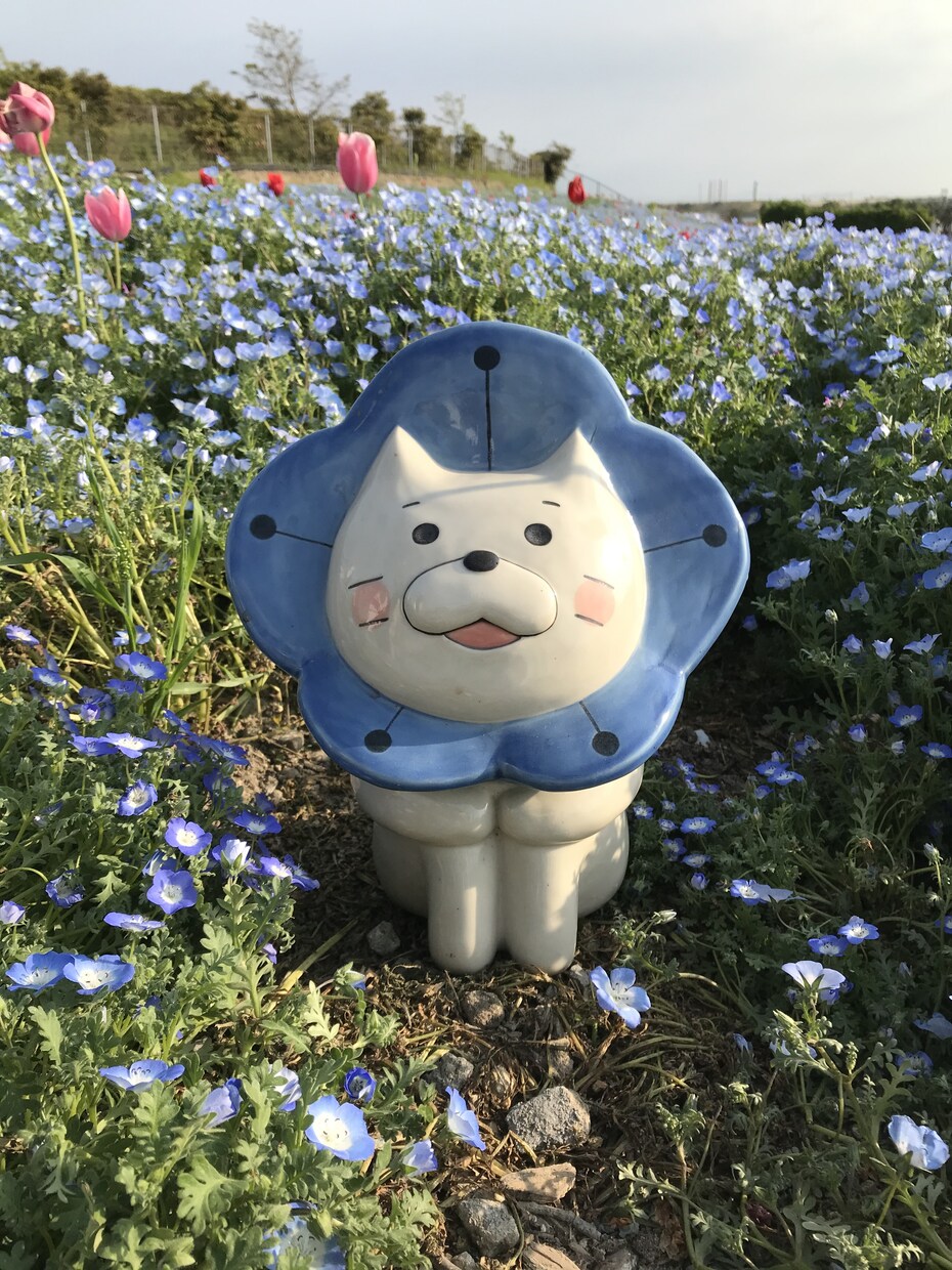 博多弁で何でも聞きます 留年生とおしゃべりしましょ！！ イメージ1