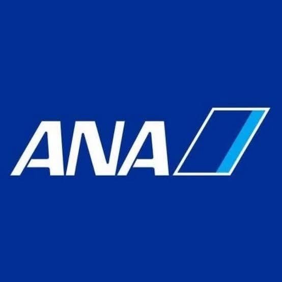 ANA特典航空券の検索、ルート構築をお手伝いします エラーばかりの特典航空券の予約、代行検索、ルート構築します！ イメージ1