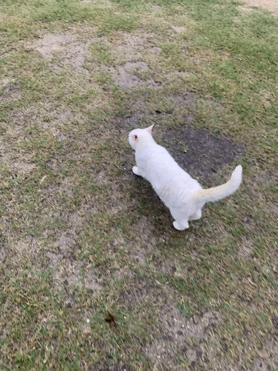 あなたの長所見つけます 一緒に強みを探させてください！ イメージ1