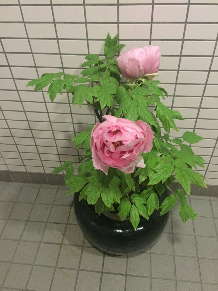 現役女性美容師が、貴方のお悩み聞きます。ます 少しでも貴方の心が軽くなりますよう、アドバイスにも、のります イメージ4