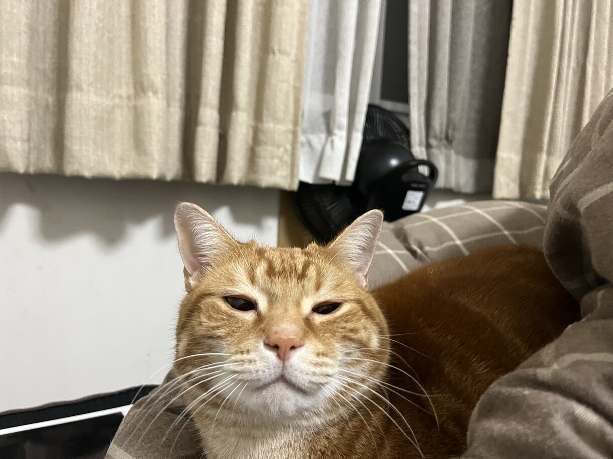 年は取ってみるもんだな。その心境をお伝えします 死にたいを含めて50年近くどうにかやってきてたどり着いた境地 イメージ4