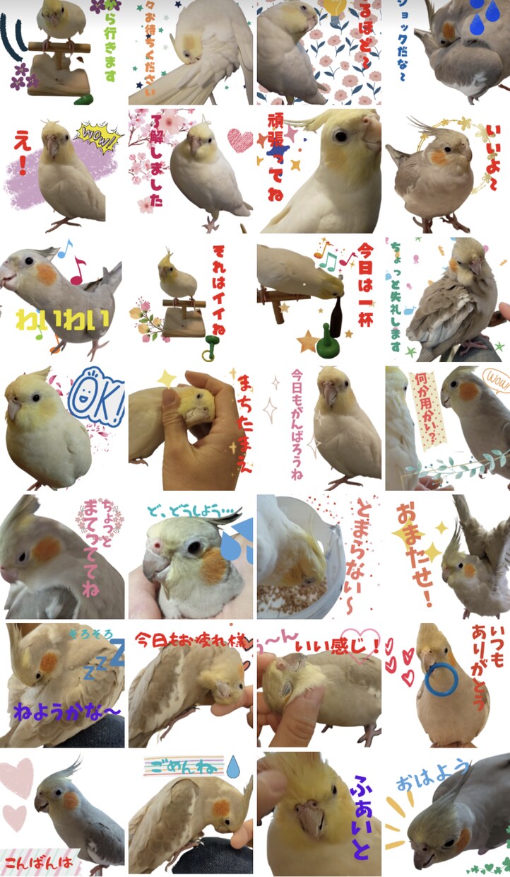 ペットの写真をかわいいラインスタンプにします ペットのオリジナルラインスタンプを低価格でお作りします イメージ5