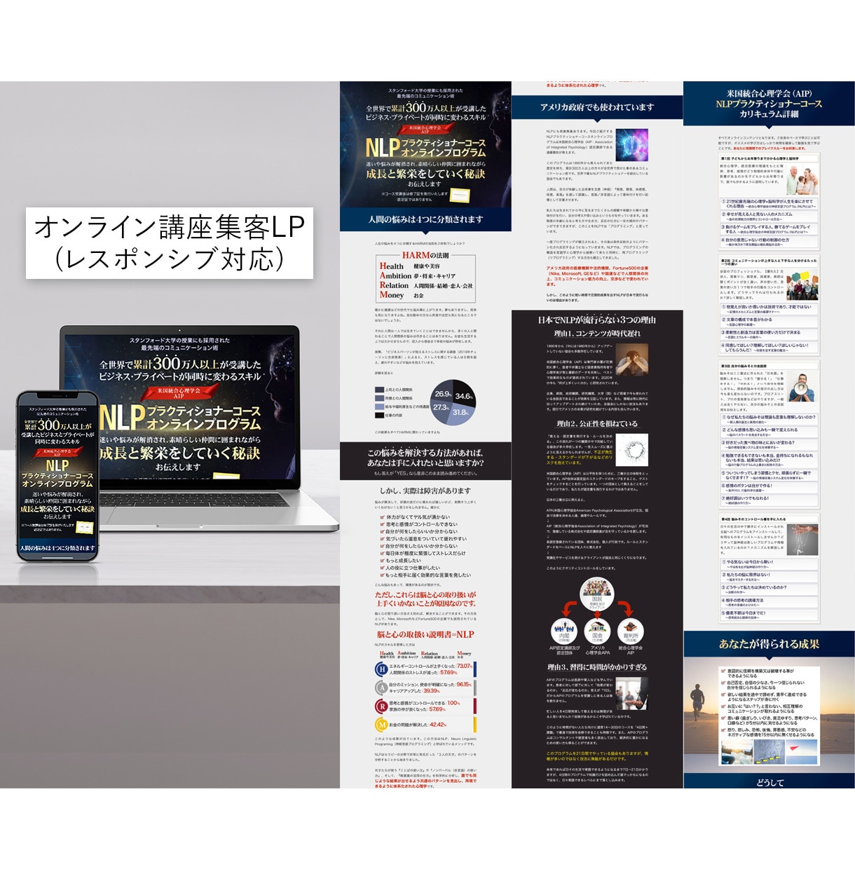 LPの最適化！商品の魅力を最大限魅せます デザインの制作実績300以上！ イメージ4