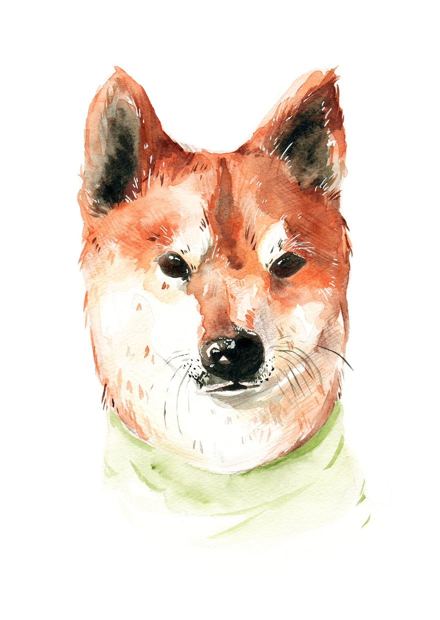 ペットのイラスト・似顔絵を描きます かわいいペットをカラフルな似顔絵にさせていただきます。 イメージ2