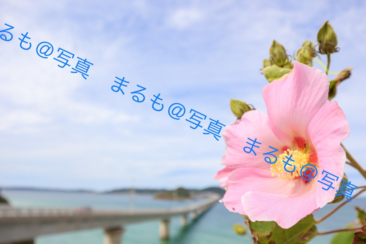 1〜3カットまで！広告等で使える写真を提供します 使い勝手の良い写真をお求めの方に！ イメージ2