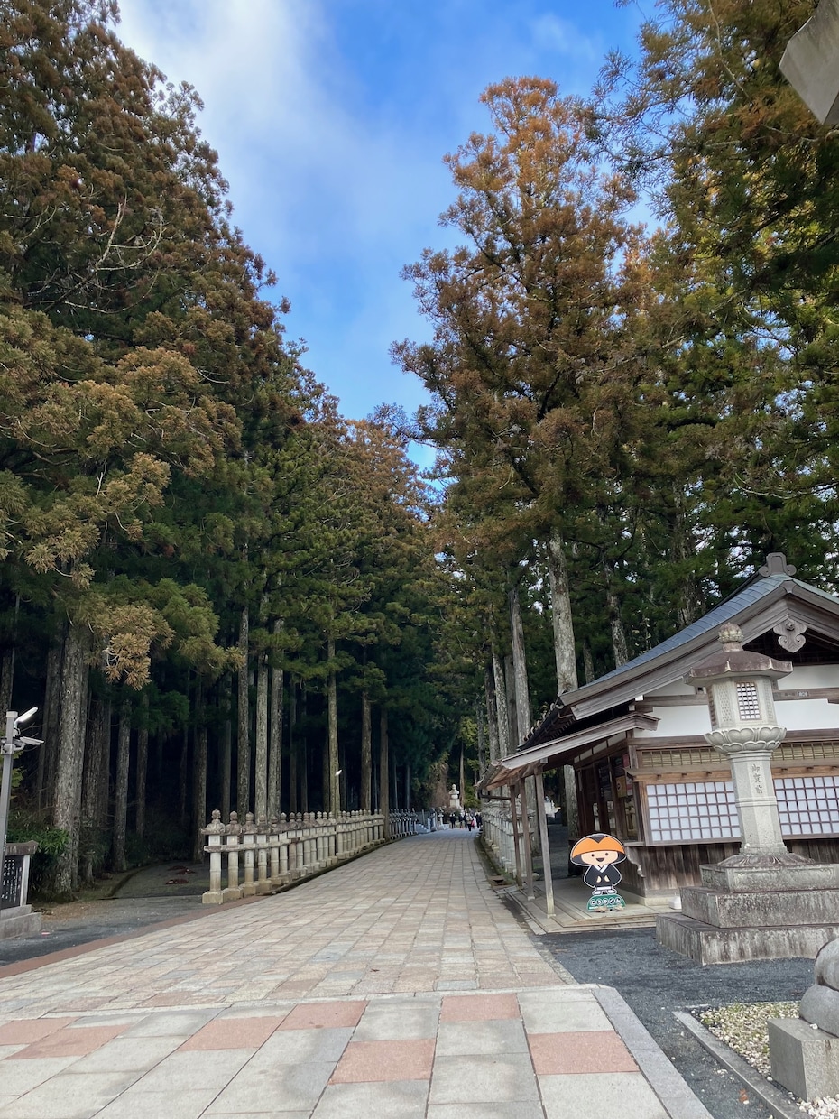 霊峰・高野山のパワーでカードリーディングいたします 【予約購入】私が霊峰高野山にてカードリーディング致します イメージ1