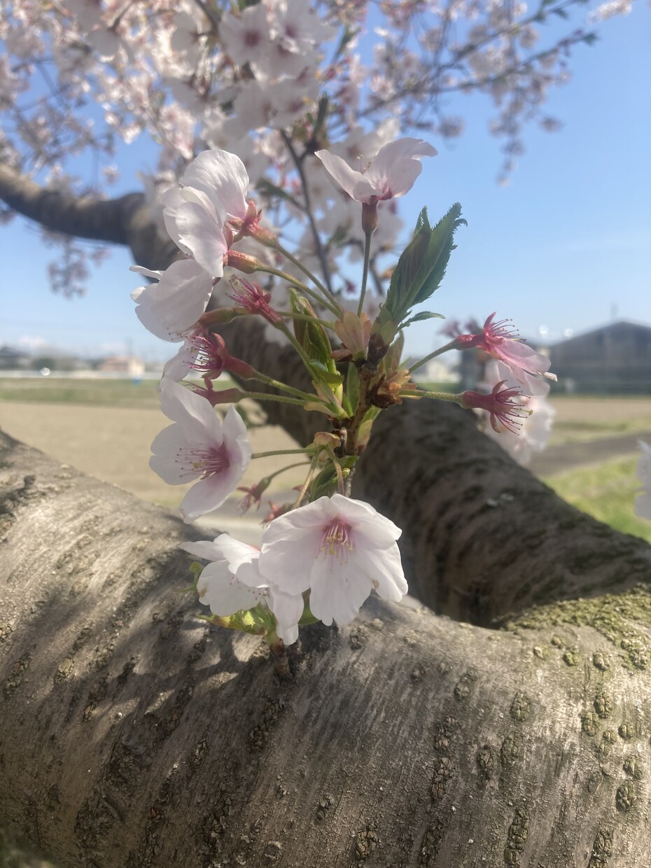 大人になってもほめてほしい✨承認欲求を満たします 仕事/人間関係/ストレス/愚痴/雑談/HSP/ありのまま イメージ3