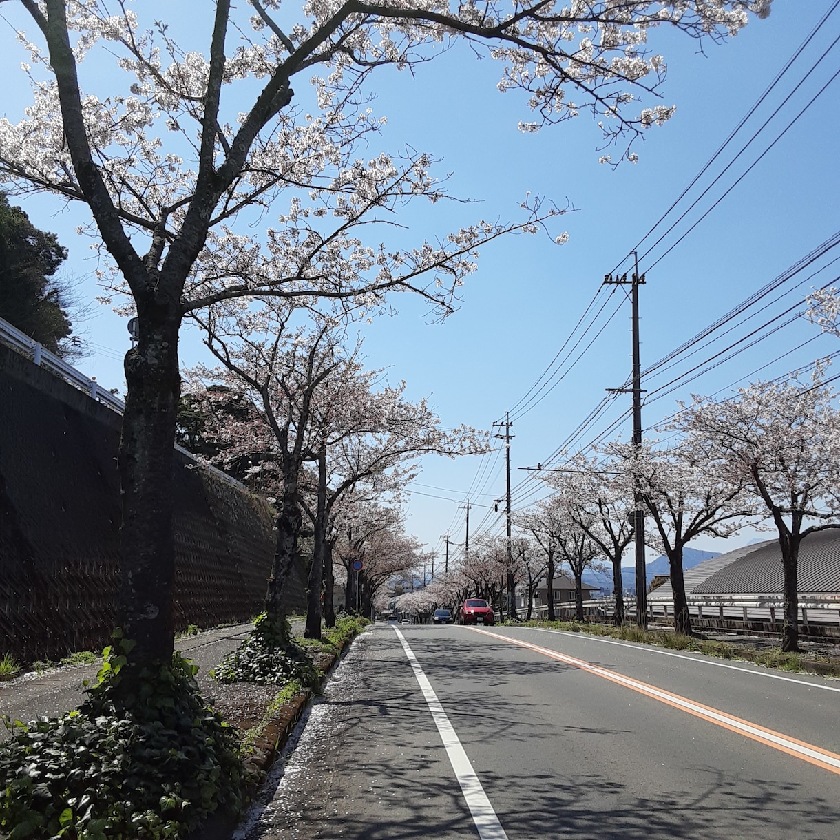 私が見聞きした健康に関する情報を、共有します とりあえず、お電話お受けします。 イメージ2