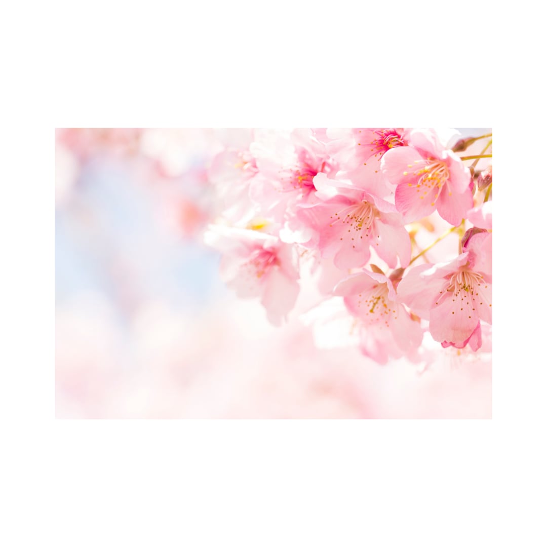 今すぐ話したい❣️1分でも❣️優しくお聴きします どんなお話も大歓迎♪ 心がふっと軽くなる癒しの時間 イメージ9