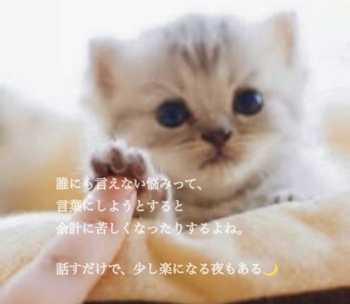 LINE感覚でチャット相談ꕤ︎︎雑談・愚痴聞きます こんなこと話していいのかな？大丈夫ꕤ︎︎*全部受け止めます イメージ4