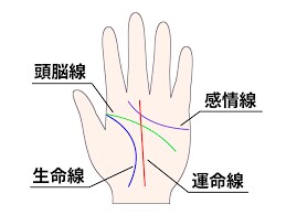 あなたの宿命 × 今の姿を読み解く鑑定いたします 【個別鑑定】四柱推命＋手相で見るあなたの宿命と未来 イメージ4