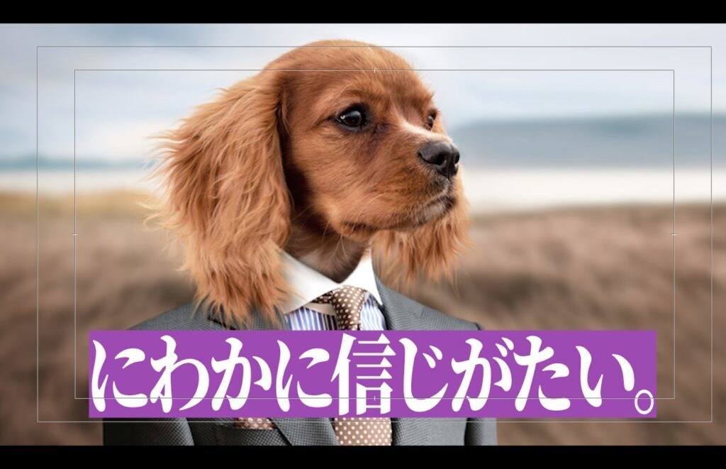 動画編集テロップ付け代行します 動画の編集テロップbgm挿入代行します。 イメージ2