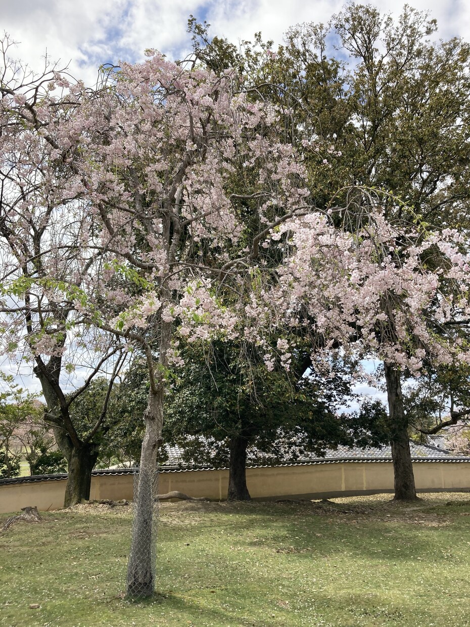 ちょこっと話を聞いてほしい…。5分でもお話聞きます カウンセリングじゃなくて、なんとなく聞いてほしいコト。 イメージ3
