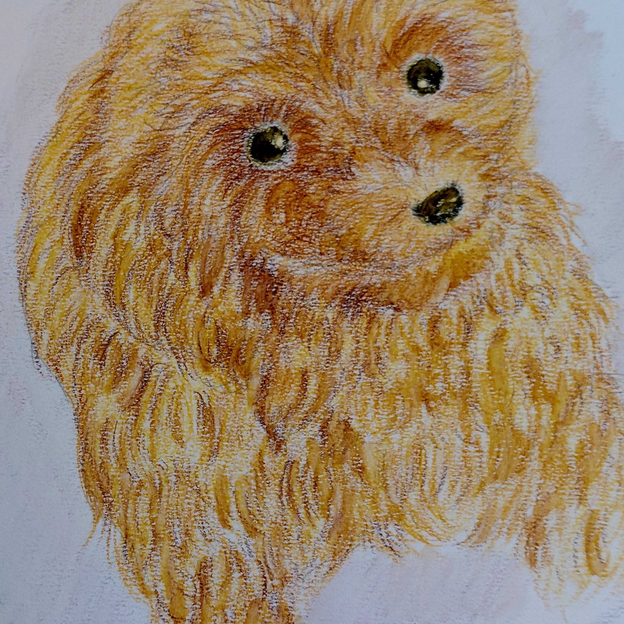 ペットのイラストをお描きしますます 心やすらぐペットのイラストをお描きします イメージ2