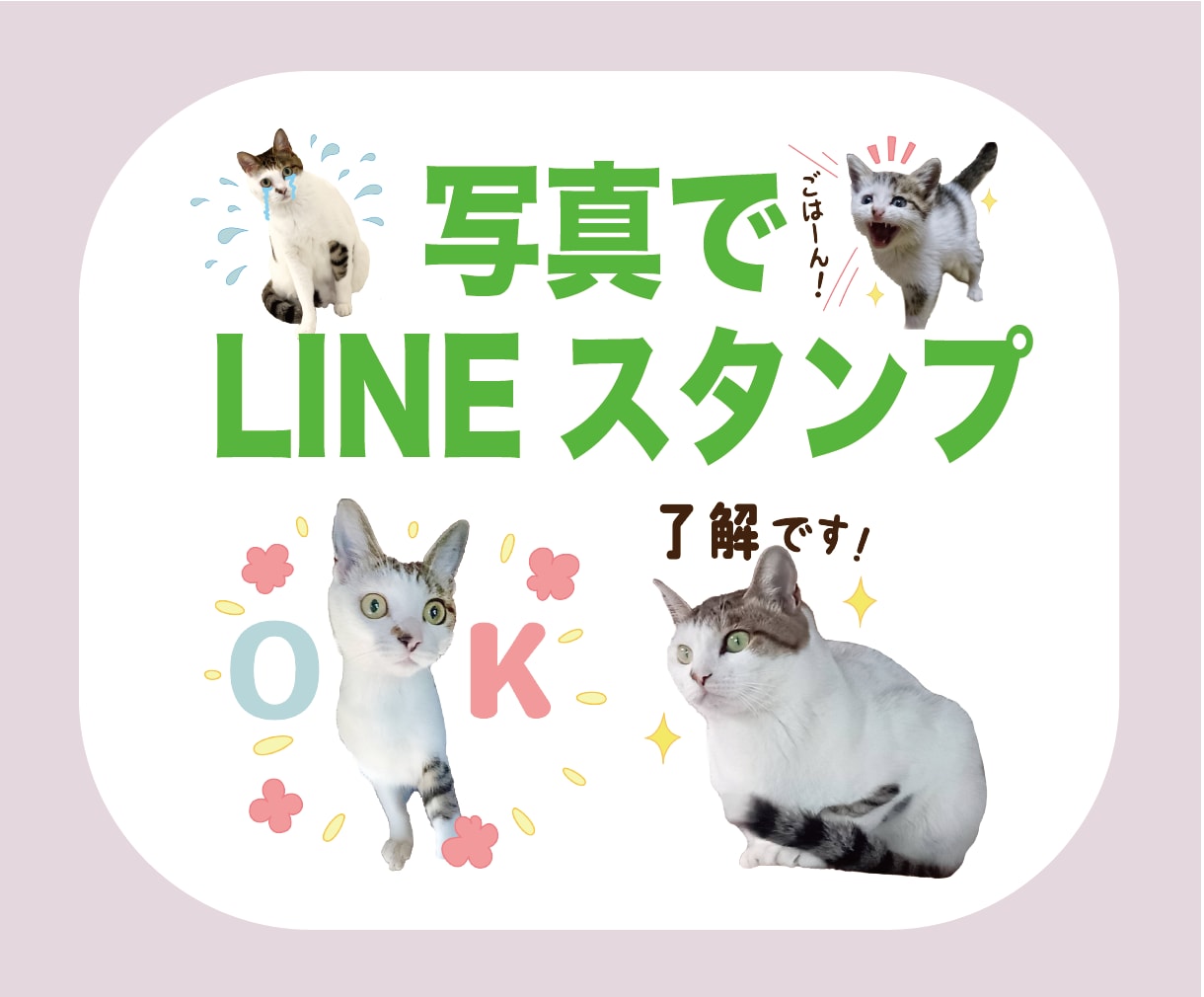 ペットのお写真でLINEスタンプを作ります お気に入りの写真をLINEスタンプに！ イメージ1