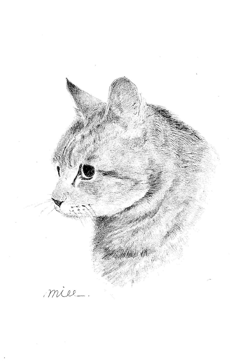 原画郵送：写真からペット肖像画を色鉛筆で描きます 大切な「うちの子」を、世界に一枚だけの手描き作品に イメージ8