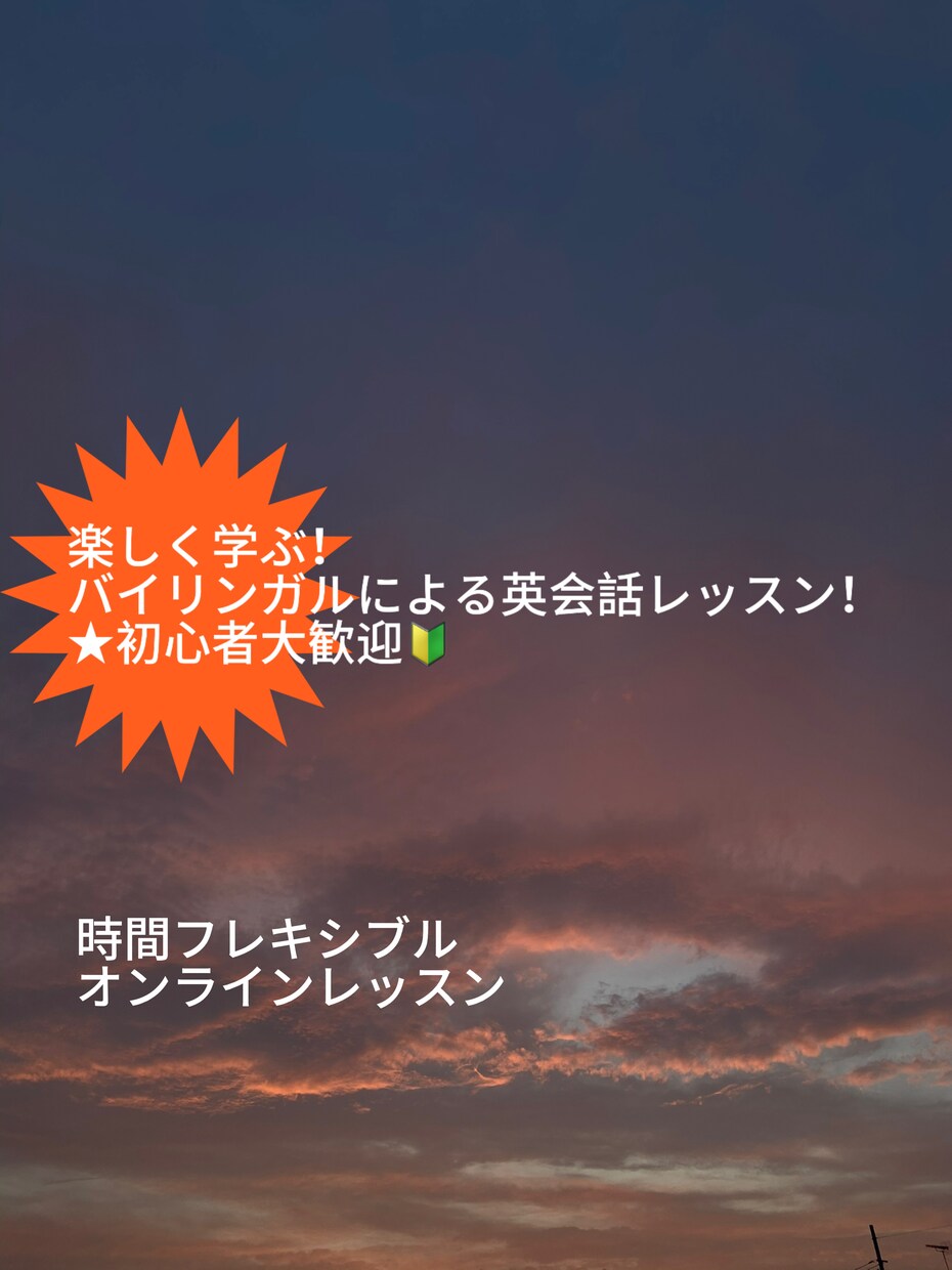 バイリンガルによるオンライン英会話レッスン致します 初心者でも大歓迎！話すことへの苦手意識克服を目指します イメージ1