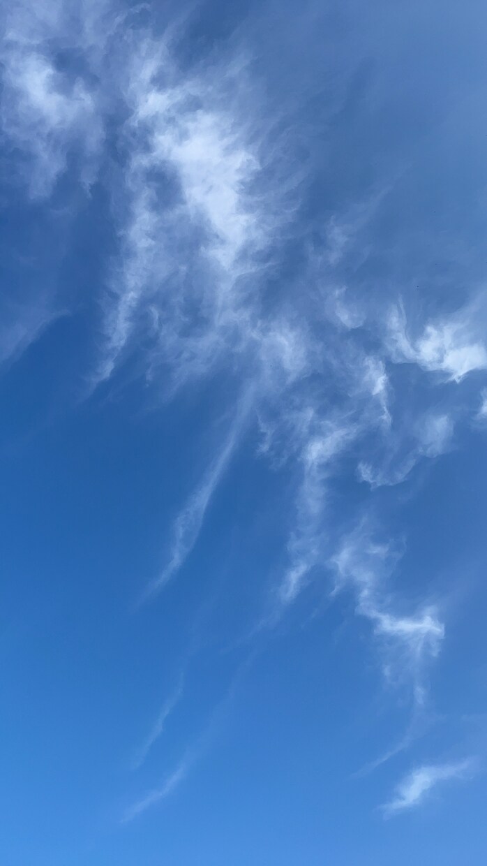 お話を伺います 一人で悩まずお話をすることで心を解放しましょう イメージ4