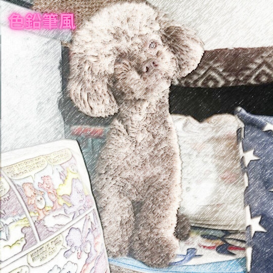 うちの子のお写真を様々なお洒落なアートに制作します 大切な家族の一員をアートにして作りませんか イメージ3