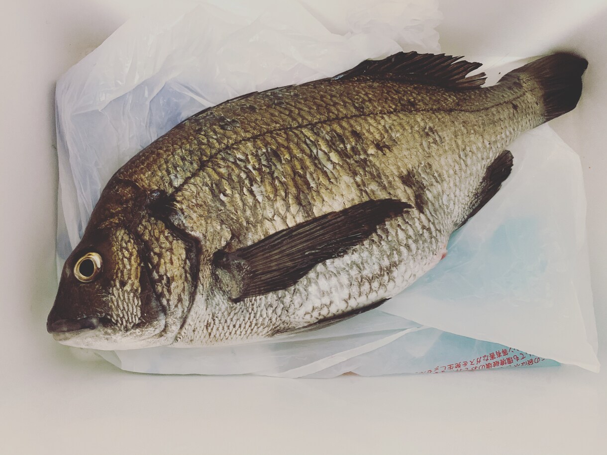 釣り教えます 初めての方や、もっとうまくなりたいかたに。 イメージ2