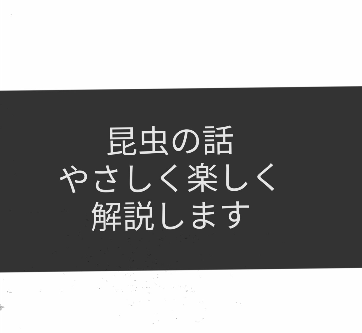 昆虫の話をやさしく楽しく解説します 博物館での解説経験を活かし、専門用語を使わずにお話しします イメージ1
