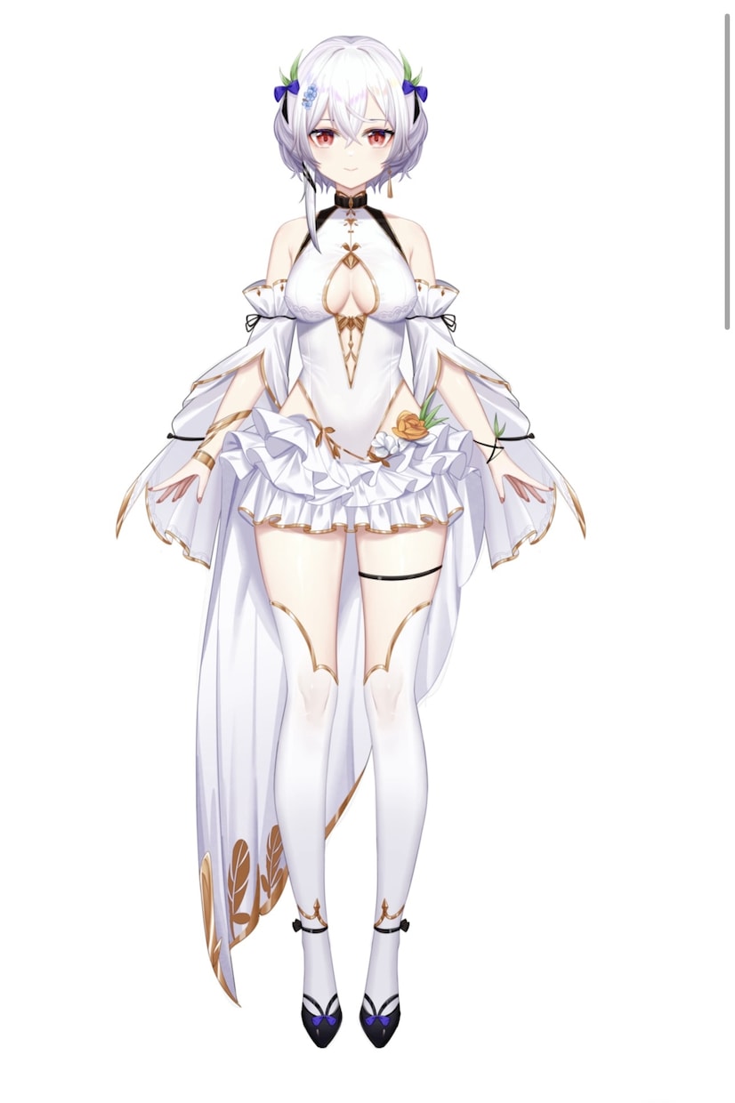 全力でVtuberデビューを徹底サポートいたします キャラデザ、Live2D、パーツ分け、修正無制限、著作権譲渡 イメージ4